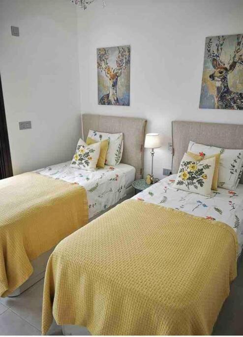 Bahia Homes טורבייחה מראה חיצוני תמונה